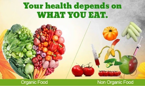 organic vs non-organic food comparison display
